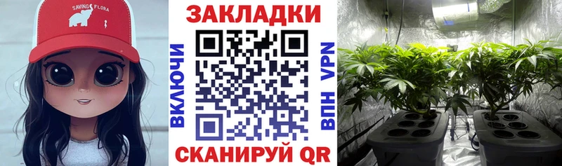 Где купить наркоту Верея A PVP Конопля Мефедрон ГАШ КОКАИН