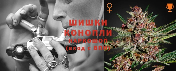 прущие крисы Баксан